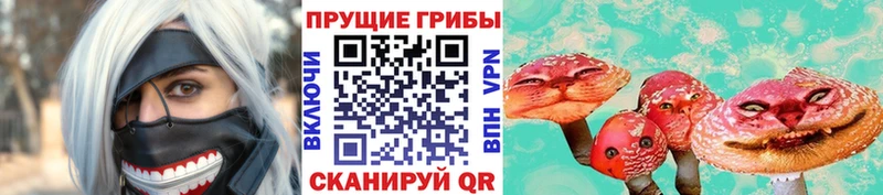 Псилоцибиновые грибы Psilocybe  Купить закладки  Райчихинск 